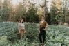 Field Day Top Dolman Top in Golden Checker