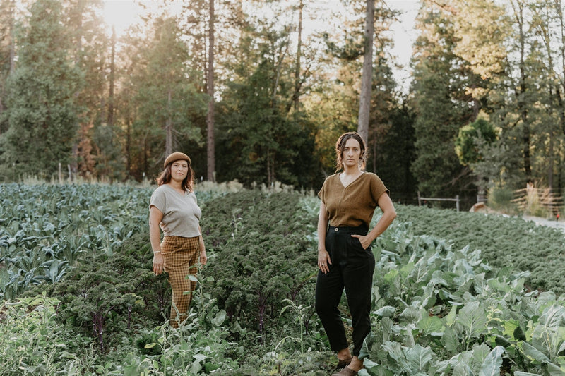 Field Day Top Dolman Top in Golden Checker